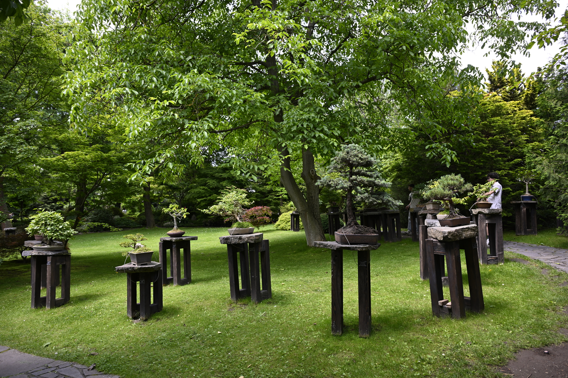 チェコの日本庭園