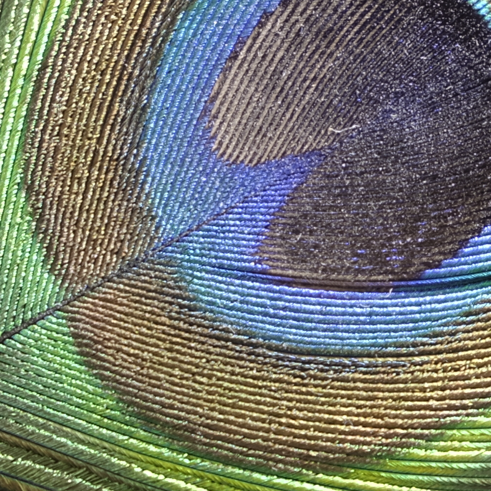 GFX100SII_GF35-70_35mmf/4.5