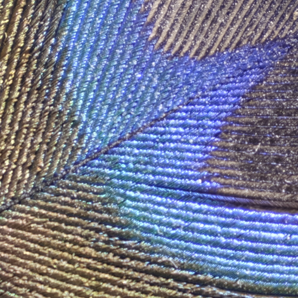 GFX100SII_GF35-70_70mmf/8.0