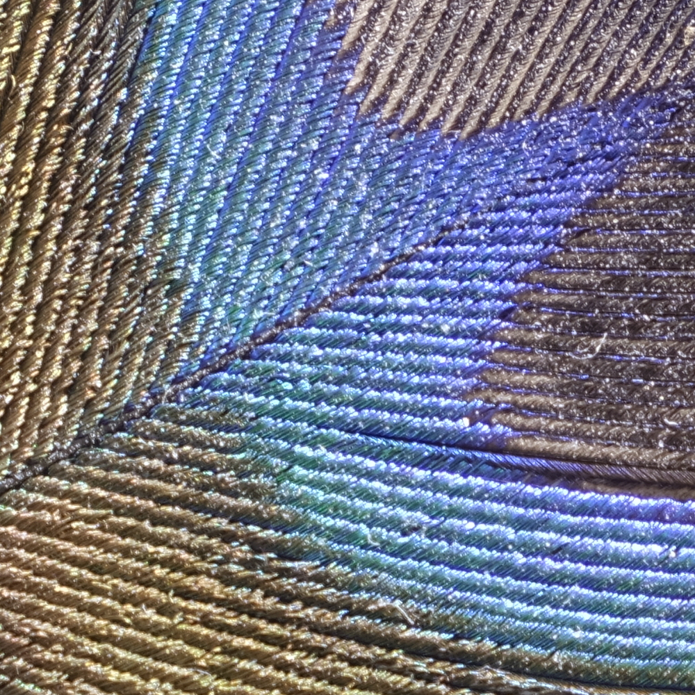 GFX100SII_GF35-70_70mmf/11.0