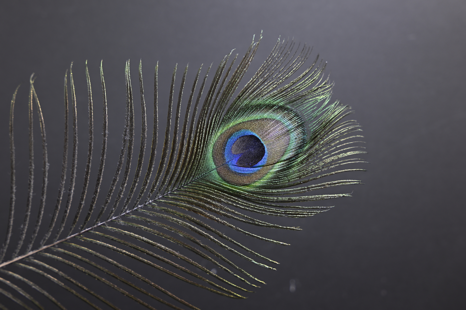 Z9_GF20-35_35mm_f/4.0