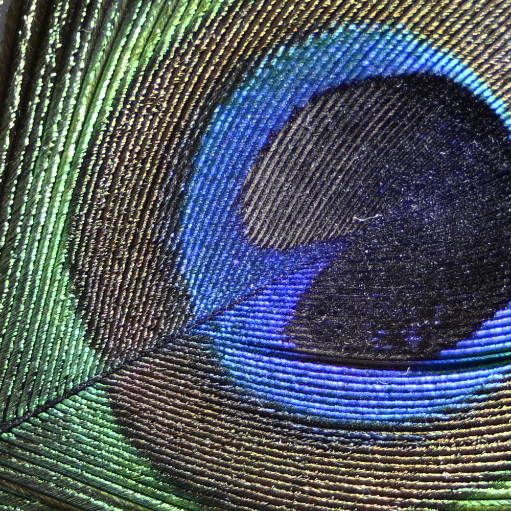 Z9_GF20-35_35mm_f/4.0