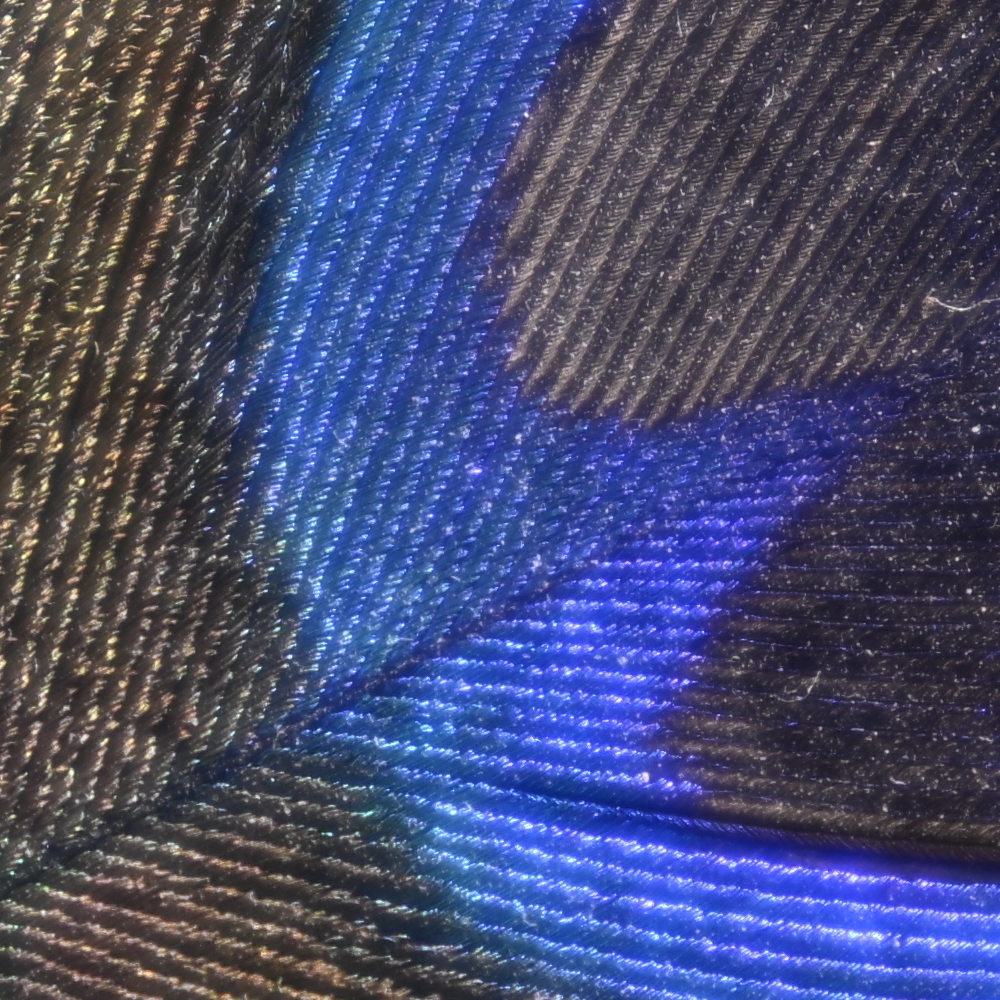 Z9_GF35-70_70mm_f/5.6