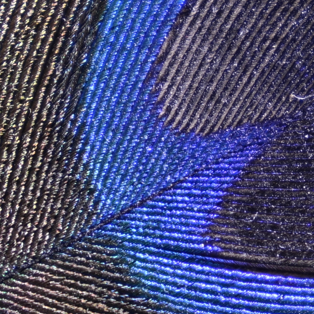 Z9_GF35-70_70mm_f/8.0