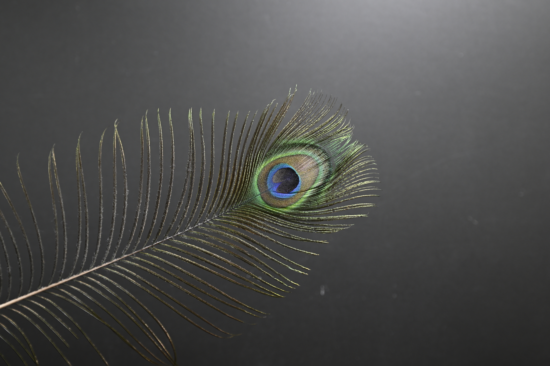 Z9_Z14-24_24mm_f/2.8