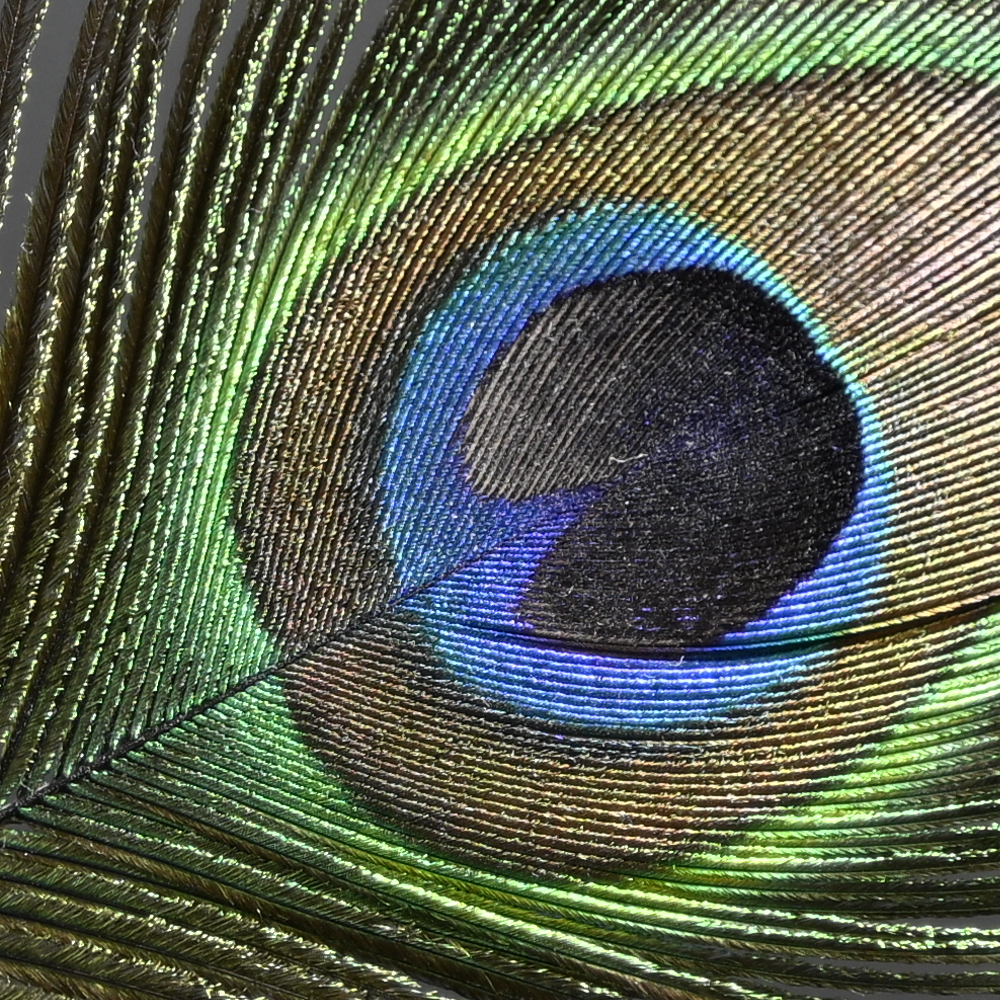 Z9_Z14-24_24mm_f/2.8