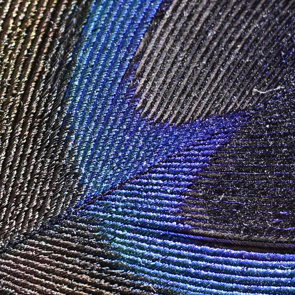 Z9_Z24-120_70mm_f/4.0