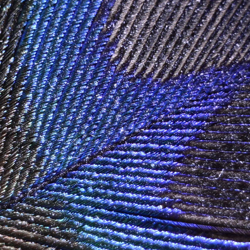 Z9_Z24-120_120mm_f/4.0