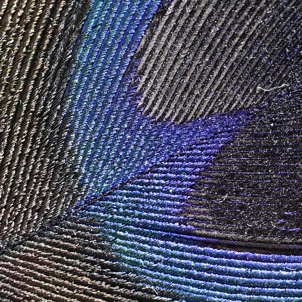 Z9_Z24-120_70mm_f/5.6